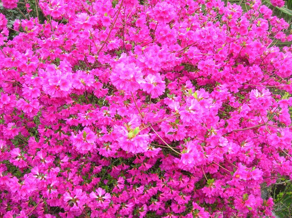 Residence Venus Garden 브리사고 외부 사진